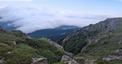 Вид с дороги к высшей точке Чатыр-Дага