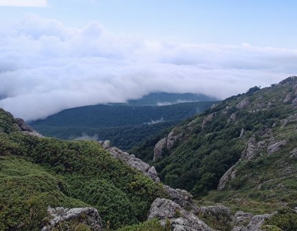 Вид с дороги к высшей точке Чатыр-Дага