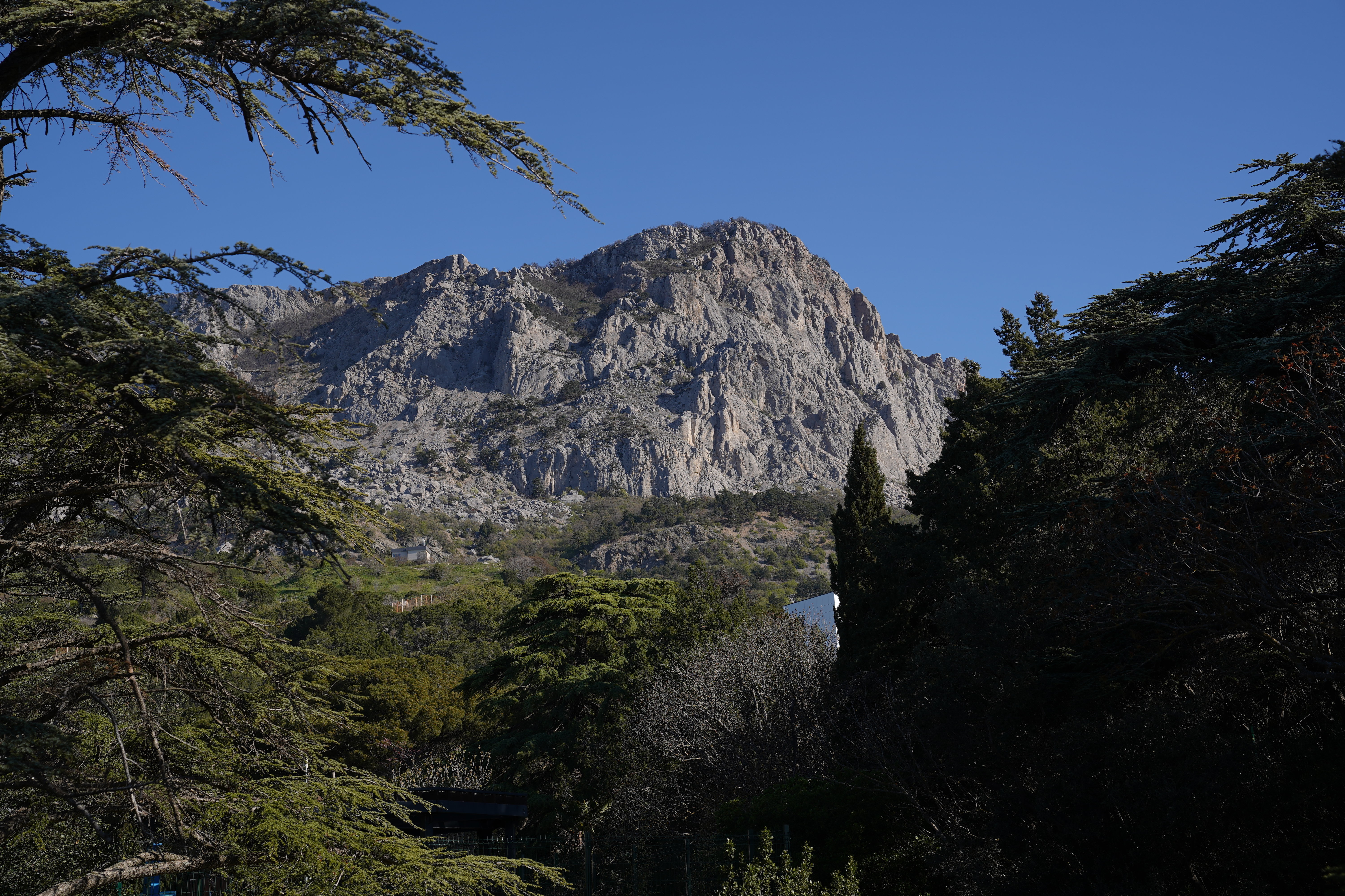 Южный берег Крыма Южный берег Крыма