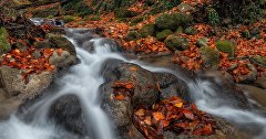 Русло реки Улу-Узень в Хапхальском ущелье