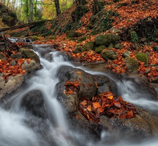В кадре – осень: где в Крыму сделать невероятные фото