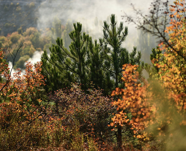 Осень в Крыму