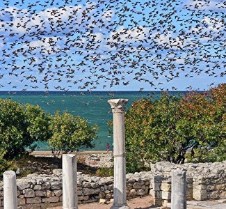 «Цвет внутри»: Херсонес приглашает на авторскую экскурсию