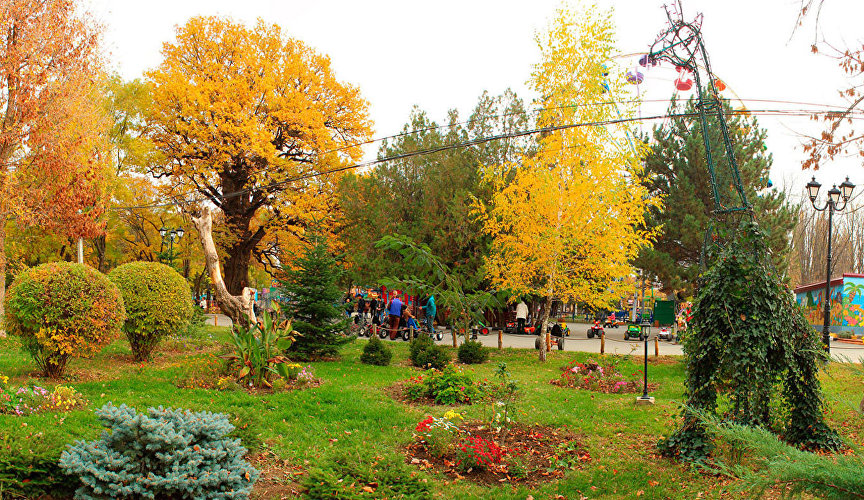 Симферополь детский парк дуб