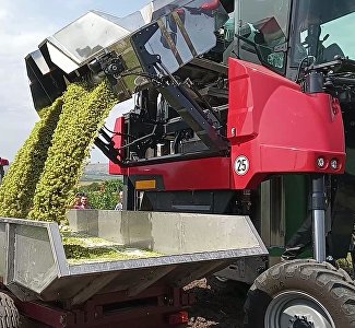 «Золотая Балка» побила десятилетний рекорд сбора урожая
