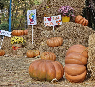 Запечатлеть осень: новые фотозоны в парке Симферополя