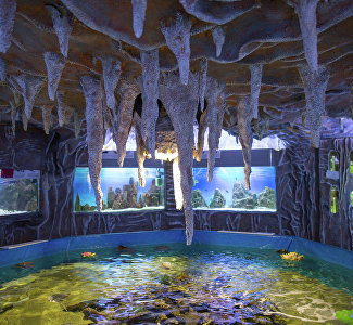 Для крымчан дешевле: развлекательные объекты Алушты и Ялты объявили 50%-е скидки на посещение