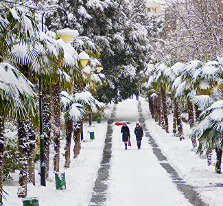 В Крыму объявлено экстренное предупреждение из-за ветра и мокрого снега