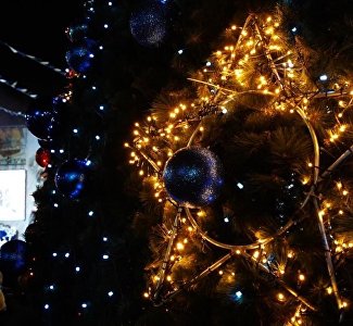 Звёзды эстрады и фейерверк: программа открытия главной ёлки Севастополя