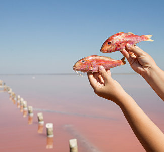 Съедобные сувениры, или Какую еду из путешествий везут домой туристы