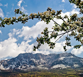 Артисты музтеатра «озвучили» знаменитые легенды Крыма