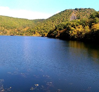 В Крыму продлили запрет на посещение лесов