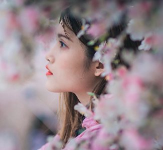 Крымский островок Японии: где и когда пройдёт фестиваль цветущей сакуры