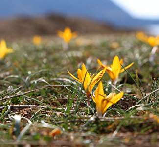 На стыке зимы и весны: какой будет погода выходных в Крыму