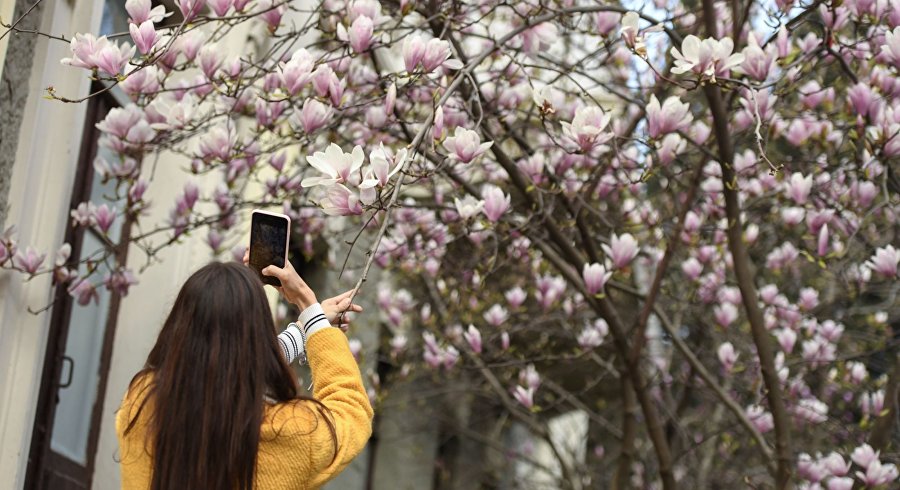 Крым к 8 Марта: где представительницы туризма отметили бы женский праздник