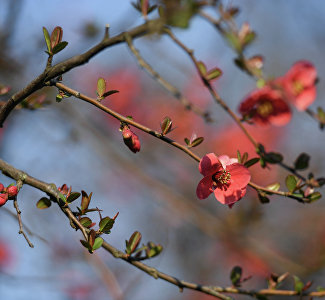 Россияне выбирают Крым для отдыха весной